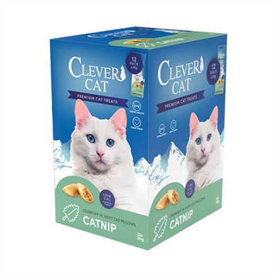 Clever Cat